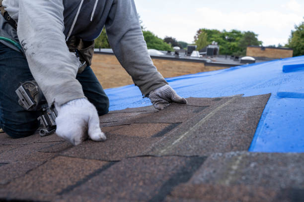 Best Storm Damage Roof Repair  in Cana, VA
