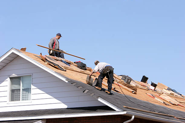 Best Roof Coating Services  in Cana, VA
